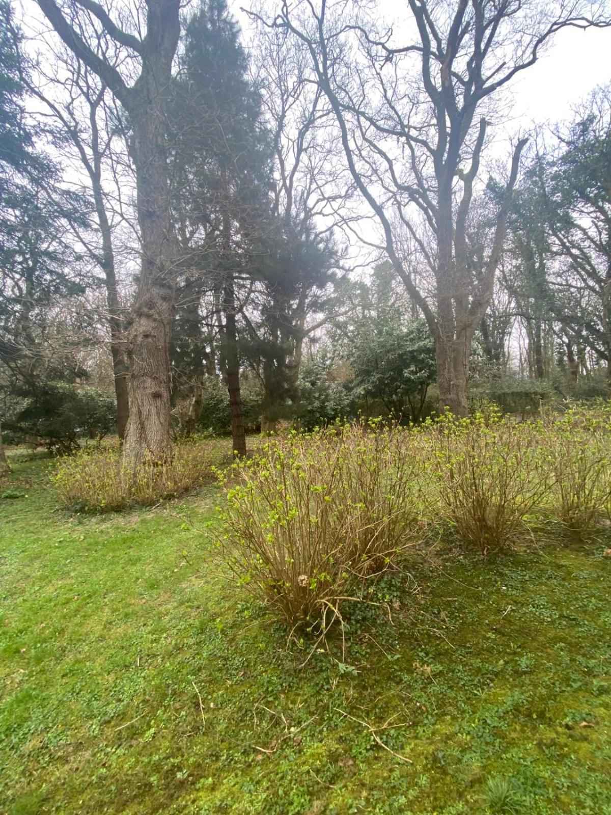 Bg32 - Mer & Bois De Cise Maison Individuelle Avec Grand Jardin เอิลท์ ภายนอก รูปภาพ